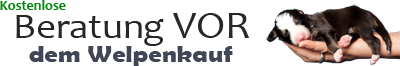 beratungvordemwelpenkauf