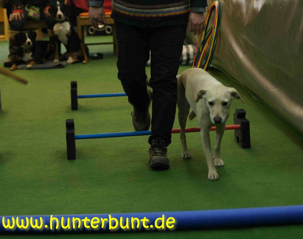 comp_10paula_cavaletti