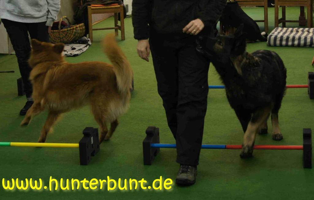 comp_12ellaleni_cavaletti