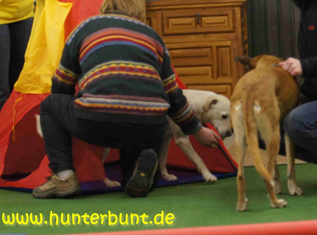 comp_13pauladurchszelt