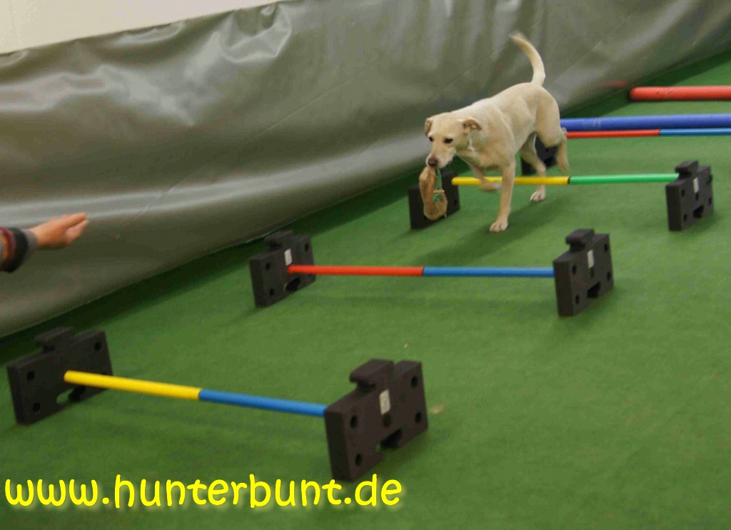 comp_15paulaapporthuerden