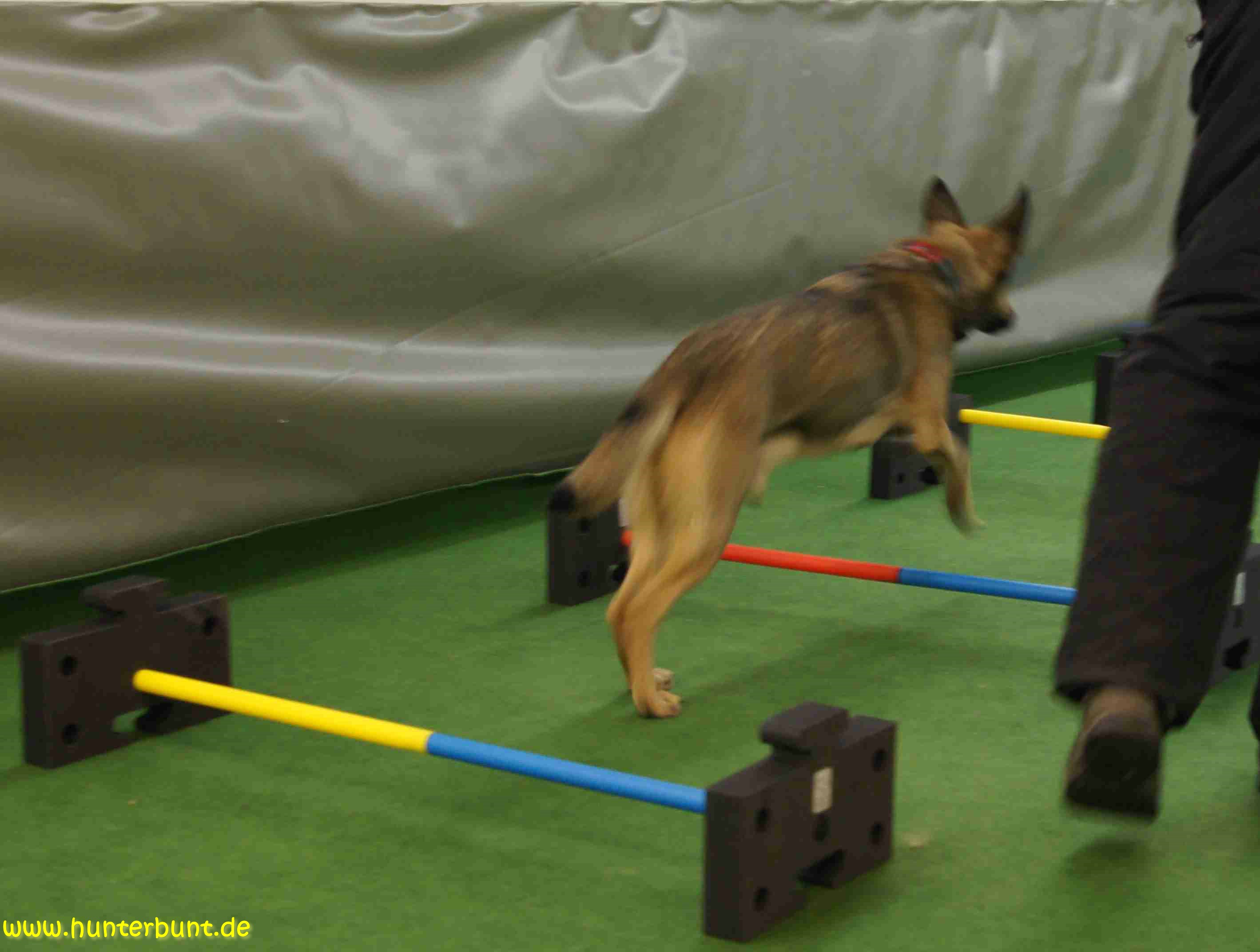 comp_16pinohuerdenapport