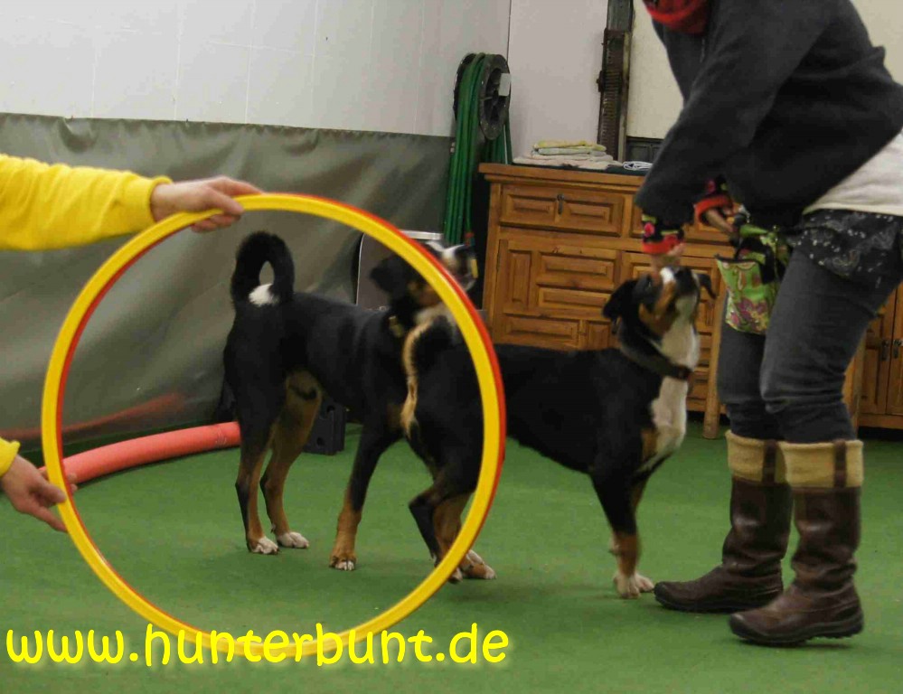 comp_17lumilandoreifen