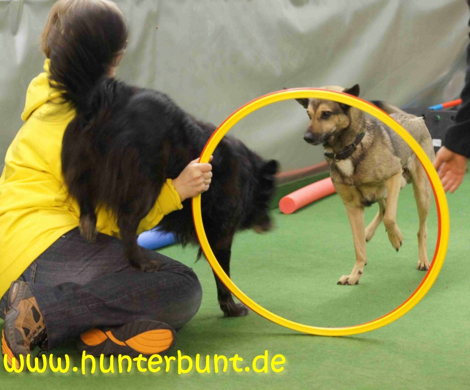 comp_19angiepinoreifen