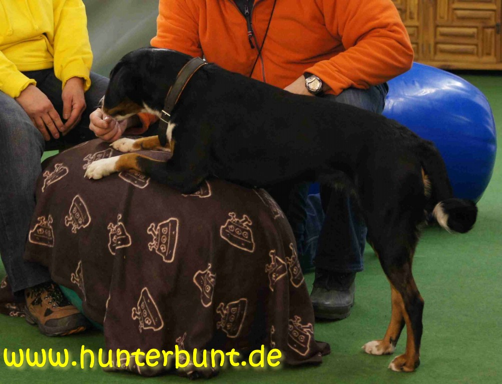 comp_3lando_gymnastikei