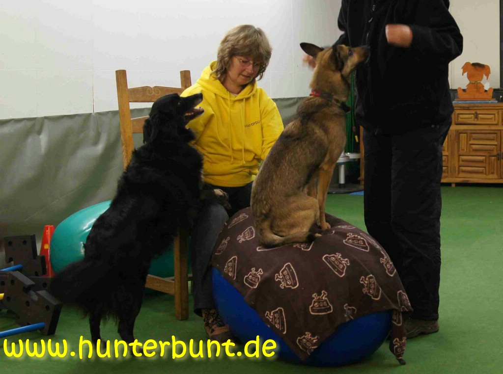 comp_5angie_pinoaufgymnastikei