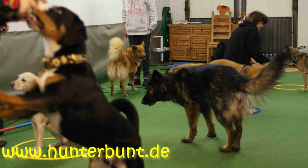 comp_7kunterbuntesringeshapen