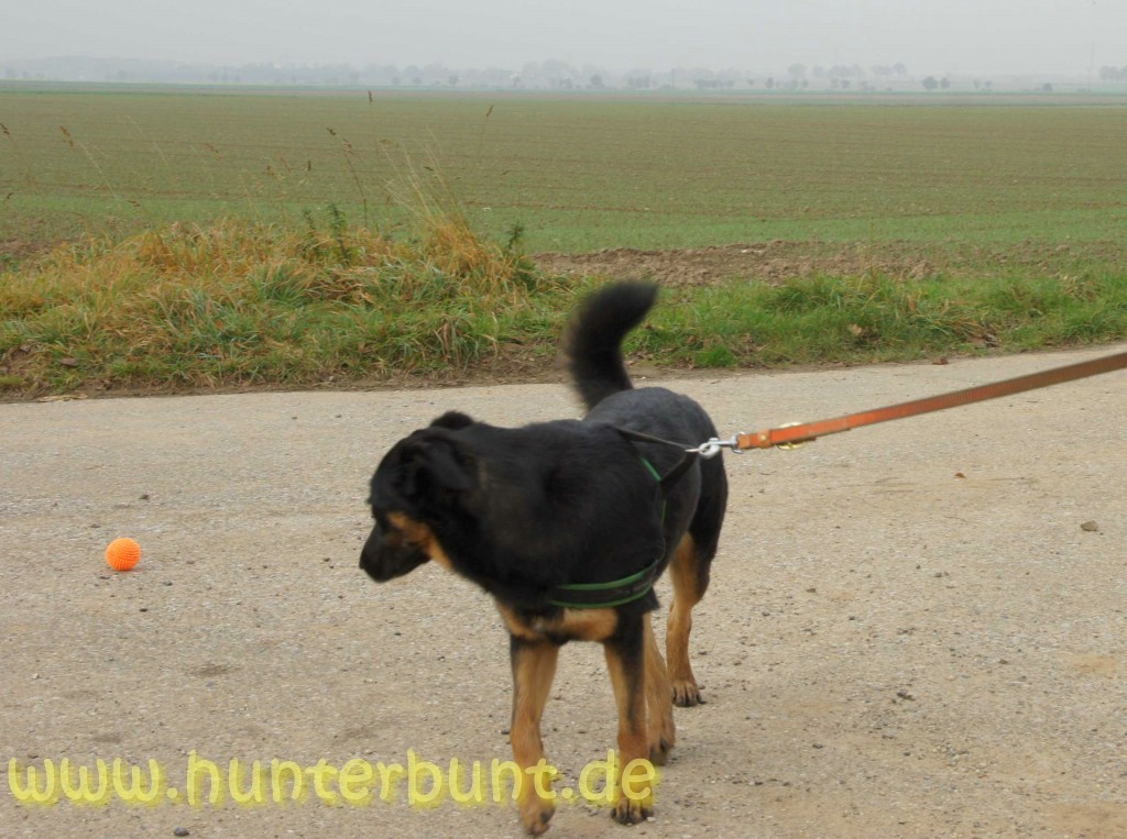 comp_begehrlichkeiten5