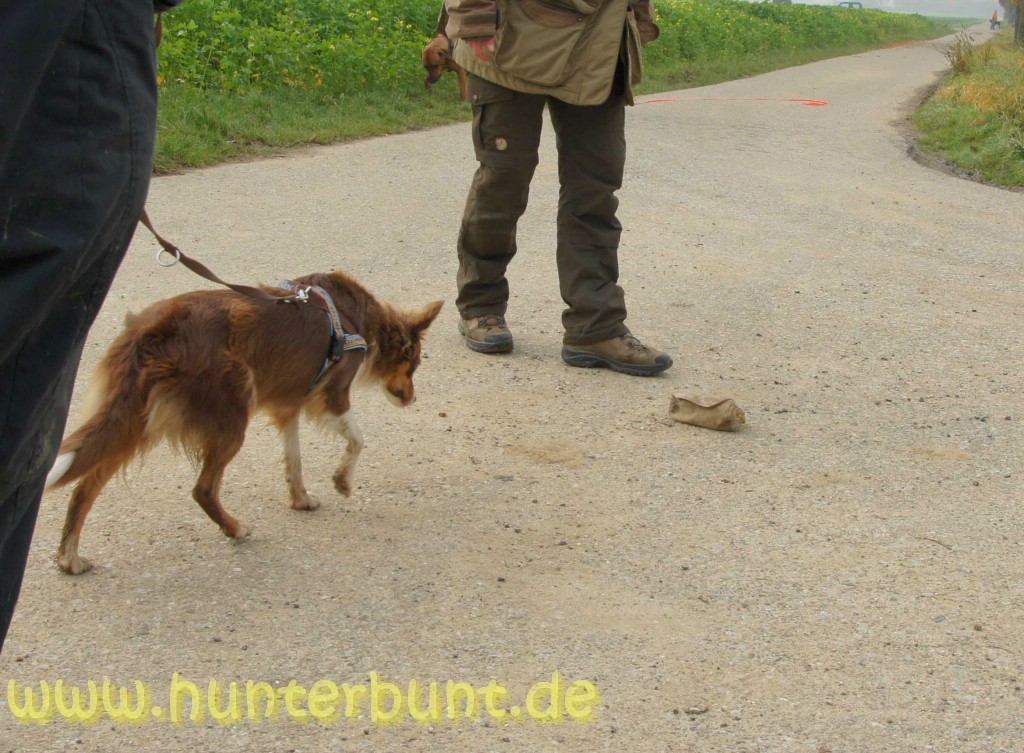 comp_begehrlichkeiten6