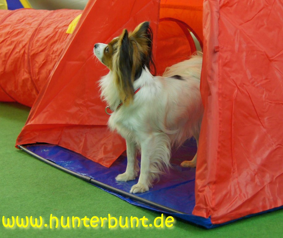 comp_dasrichtigezelt