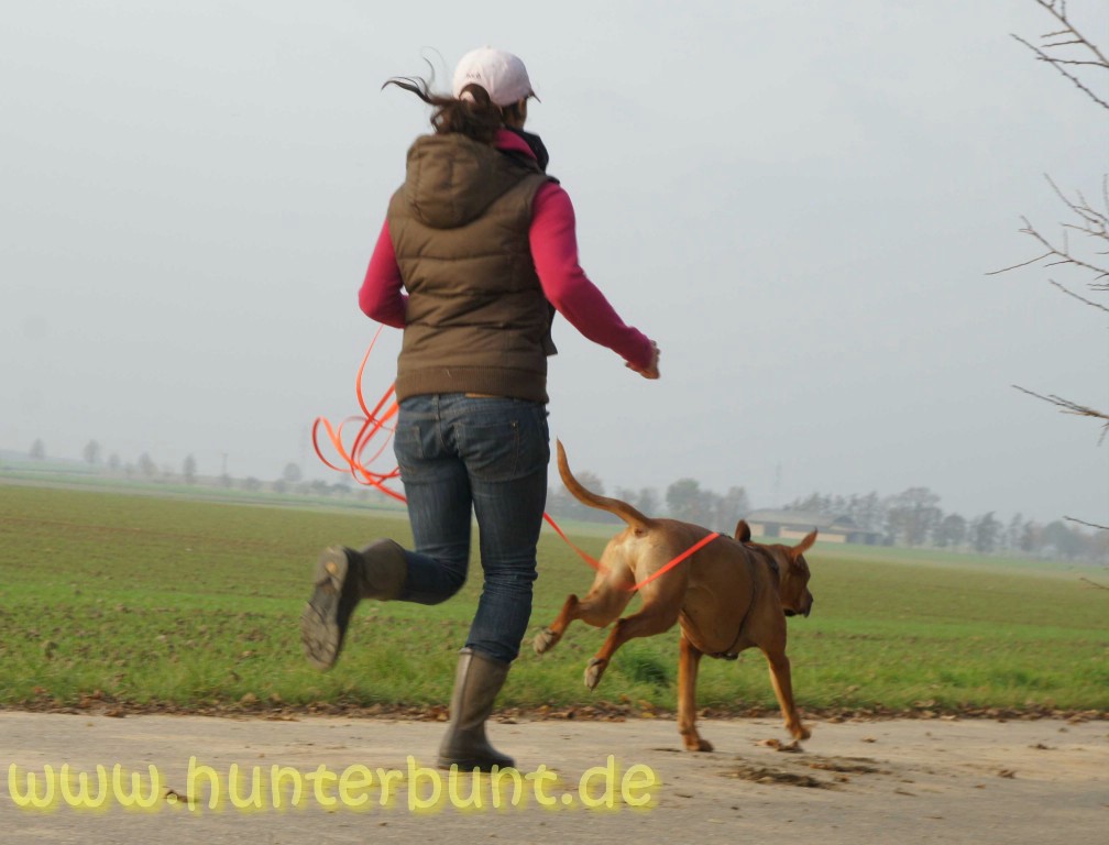 comp_laufenzurbelohnung2