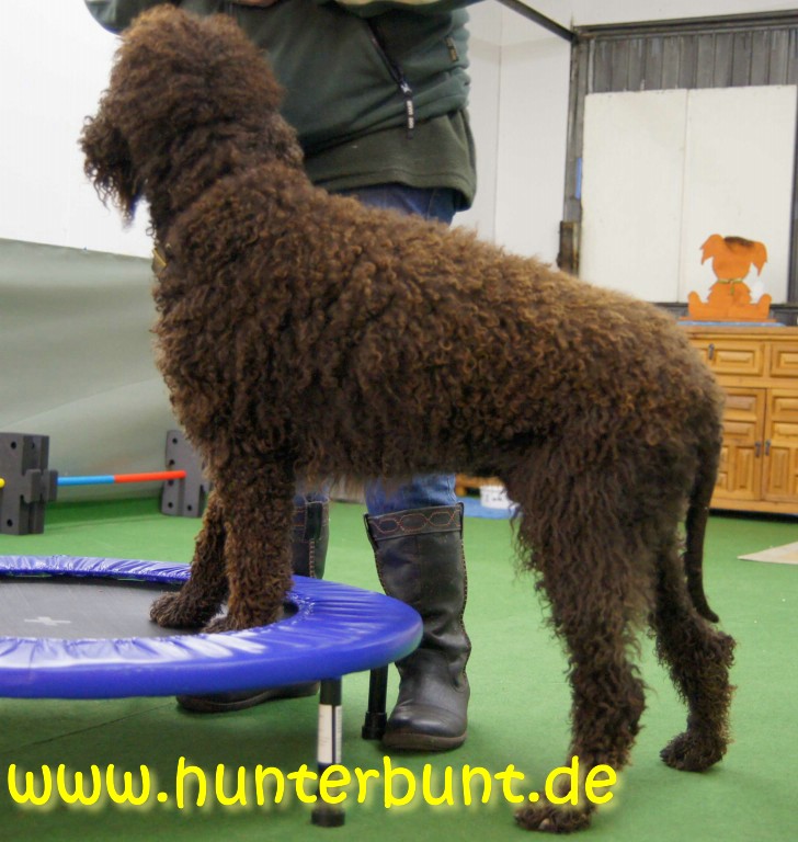 comp_unwegsamesgelaende