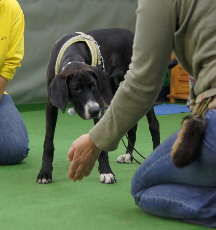 lillihandtouch-klein