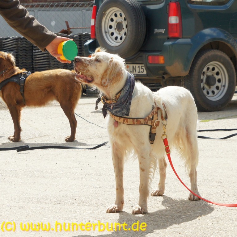 malcolm_lernt_geruch